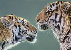 Young Love by Darryn Eggleton - Original Drawing on Mounted Paper sized 19x13 inches. Available from Whitewall Galleries